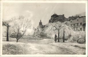 Arad, Kossuth park, Domán üzlete / park, shop. photo (EK)