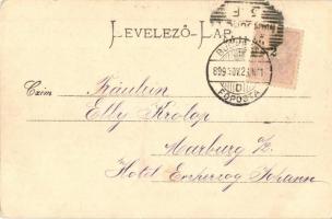 1899 Budapest, Lánchíd a Stein oldalkerekes vontató gőzhajóval (EK)