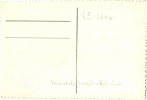 Hódmezővásárhely, Tenyészállat vásár, Schnitzer photo