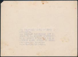 cca 1930 Madame Lenhart ápolónőt  a becsületrend tiszti fokozatával tünteti ki egy súlyosan hadirokk...