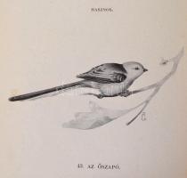 Herman Ottó: A madarak hasznáról és káráról. Bp., 1901, Franklin Társulat-ny., 279+1 p. Első kiadás....