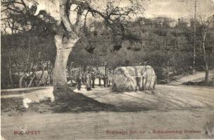 Budapest XII. Svábhegyi Szentkút. Szerényi Béla kiadása / Schwabenberg Brunnen (Rb)