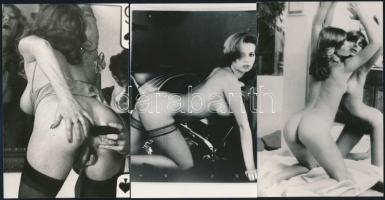Erotikus és pornográf képek fotómásolatai, 11 db, 9x14 cm