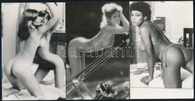 Erotikus és pornográf képek fotómásolatai, 11 db, 9x14 cm