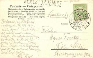 1910 Badacsonytördemic, Nemestördemic, Tördemic; Római katolikus templom, utcakép, csoportképek a fa...