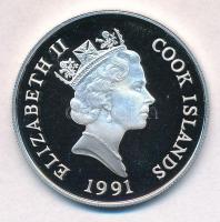 Cook-szigetek 1991. 50$ Ag  "Veszélyeztetett állatvilág - Bagoly" T:PP
Cook Islands 1991....