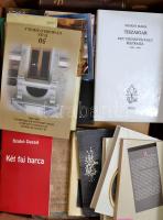 Banánosládányi felerészt régi, felerészt modern könyveket tartalmazó tétel