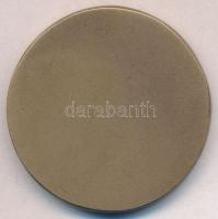 DN "Schiller" Br emlékérem. Szign.: EY (43mm) T:2