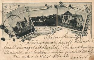 ~1899 Siófok, Villa sor, Mária és Erzsébet lak. Floral, Art Nouveau (vágott / cut)