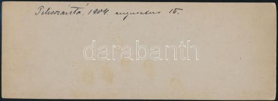 1904 Pilisszántó, Margitligeti kirándulók, keményhátú fotó, hátoldalon feliratozva, 9x25 cm