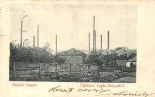 1899 Vajdahunyad, Hunedoara; Hunyadi vasgyár / iron works (EB)