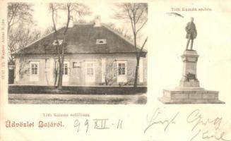 1899 Baja, Tóth Kálmán szülőháza és szobra