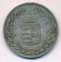 ~1900. "Fél napi munka" fém elszámolási bárca T:2