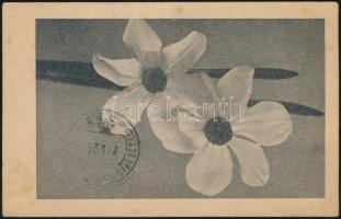 Soviet Union 1947 Szovjetunió 1947