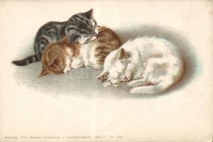 Cats Litho
