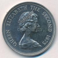 Mauritius 1975. 50R Ag "Mauritiusi vércse" T:1-
Mauritius 1975 50 Rupees Ag "Mauriti...