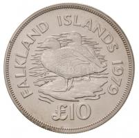 Falkland-szigetek 1979. 10P Ag "Óriás-gőzhajóréce" T:1
Falkland Islands 1979. 10 Pounds A...