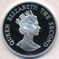 Falkland-szigetek 1987. 50p Ag "Királypingvinek" T:PP
Falkland Islands 1987. 50 Pence Ag ...