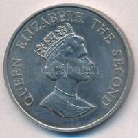 Falkland-szigetek 1987. 50p Cu-Ni "Királypingvinek" T:1,1-
Falkland Islands 1987. 50 Penc...