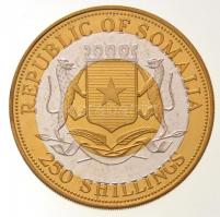 Szomália 1998. 250Sh sárgaréz-Cu-Ni bimetál "Sáfrányos szövőmadár" multicolor T:1- 
Somal...
