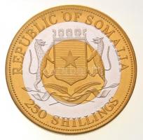 Szomália 1998. 250Sh sárgaréz-Cu-Ni bimetál "Karcsú nektármadár" multicolor T:1- 
Somalia...