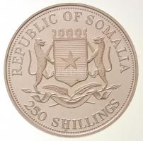 Szomália 1998. 250Sh Ag "Karcsú nektármadár" multicolor T:PP fo.
Somalia 1998. 250 Shilli...