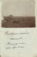 1903 Odvos, Odvas; ménes a tanyán gémeskúttal. "KONOP" bélyegzéssel a hátoldalon / the stud at the farmyard with shadoof. photo + "KONOP" stamp on the backside (EK)