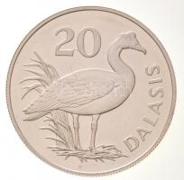 Gambia 1977. 20D Ag "Tüskésszárnyú lúd" T:1
Gambia 1977. 20 Dalais Ag "Spur-winged g...