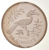 Malajzia 1976. 25R Ag "Orrszarvú madár" T:1-(PP) kis patina, felszíni karc
Malaysia 1976....