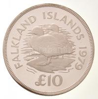 Falkland-szigetek 1979. 10P Ag "Óriás-gőzhajóréce" T:PP Falkland Islands 1979. 10 Pounds A...