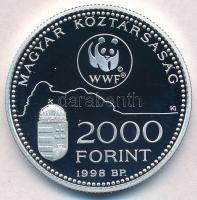 1998. 2000Ft Ag "WWF - Óvd a természetet" T:PP 
Adamo EM154