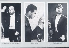 Ferencsik János karmester, Yehudi Menuhin hegedűművész, David Ojsztrah hegedűművész, André Watts zon...