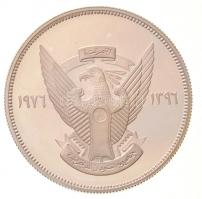 Szudán 1976. 2-1/2P Ag "Papucscsörű madár" T:PP ujjlenyomat, patina
Sudan 1976. 2-1/2 Pou...