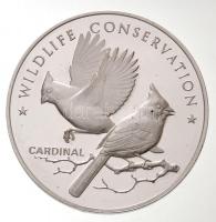 Amerikai Egyesült Államok 1972. Postmasters of America - Emlékkiadás / Vadon élő állatok megőrzése - Kardinálispinty jelzett Ag emlékérem (25,40g/0.925/38,5mm) T:PP fo. USA 1972. Postmasters of America - Commemorative issue / Wildlife Conservation - Cardinal hallmarked Ag commemorative medal (25,40g/0.925/38,5mm) C:PP spotted