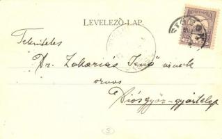 Badacsony, Szőlőhegy, villa. Schmidt Edgar kiadása