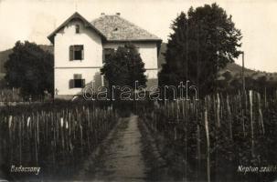 1929 Badacsony, Neptun szálloda, szőlőskert. photo