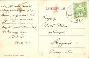 Nógrádverőce, Duna-parti részlet, nyaraló, villa. Zoller József 253. sz. + 1909 Budapest-Galánta-Ode...