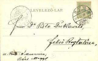 Sopron, Városligeti vendéglő, villák. L. F. Kummert No. 104. floral Art Nouveau litho