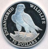 Cook-szigetek 1991. 50$ Ag Veszélyeztetett állatvilág - Vándor sólyom T:PP Cook Islands 1991. 50 Dollars Ag Endangered wildlife - Peregrine falcon C:PP Krause KM#357