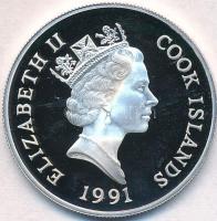Cook-szigetek 1991. 50$ Ag  "Veszélyeztetett állatvilág - Vándor sólyom T:PP
Cook Islands 1991...