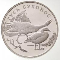 Oroszország 2006. 1R Ag "Kínai hattyúlúd" T:PP Russia 2006. 1 Rouble Ag "Swan Goose" C:PP Krause Y#1058