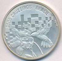 Brazília 1992. 2000C Ag "ENSZ Környezetvédelmi és Fejlesztési Konferencia" T:2(PP)
Brazil...