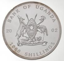 Uganda 2002. 1000Sh ezüstözött Br "Tengeri élővilág - Kalapácsfejű cápa" hátoldal multicol...