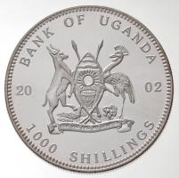 Uganda 2002. 1000Sh ezüstözött Br "Tengeri élővilág - Fóka" hátoldal multicolor festett T:...