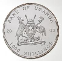 Uganda 2002. 1000Sh ezüstözött Br "Tengeri élővilág - Polip" hátoldal multicolor festett T...