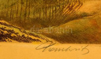 Paulovits Pál (1892-1975): Erdő. Színezett rézkarc, papír, jelzett, foltos, 28×40 cm