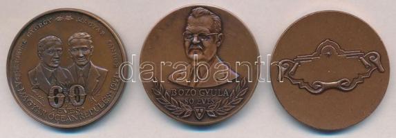 1993. "Bozó Gyula 80 éves" Br piefort emlékérem (42,5mm) 
+ Bozó Gyula (1913-2004)  1991....
