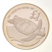 Ciprus 1997. 1Ł Ag "Közöséges levesteknős" T:PP
Cyprus 1997. 1 Pound Ag "Green turtl...