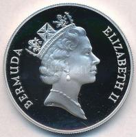 Bermuda 1986. 1$ Ag "Tengeri teknős" T:PP
Bermuda 1986. 1 Dollar Ag "Sea turtle&quot...