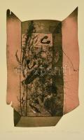 Lengyel András (1952-): Dobozok-Növényi hulladék. Színes akvatinta, papír, jelzett, 37×22 cm